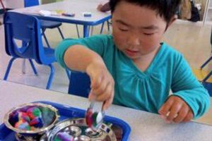 Best Learn & Play Montessori in Peralta, CA What Is Montessori? A Complete Guide to the Montessori Education Method Best Learn & Play Montessori in Peralta, CA | What Is Montessori? A Complete Guide to the Montessori Education Method
