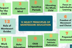 The Montessori Education System: A Guide What Is Montessori? A Complete Guide to the Montessori Education Method The Montessori Education System: A Guide | What Is Montessori? A Complete Guide to the Montessori Education Method