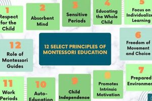 The Montessori Education System: A Guide What Is Montessori? A Complete Guide to the Montessori Education Method The Montessori Education System: A Guide | What Is Montessori? A Complete Guide to the Montessori Education Method