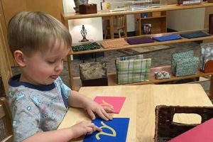 The Best Arbor Montessori Schools & Programs What Is Montessori? A Complete Guide to the Montessori Education Method The Best Arbor Montessori Schools & Programs | What Is Montessori? A Complete Guide to the Montessori Education Method