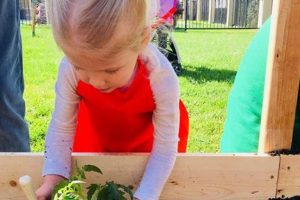 Best Montessori Schools of North Park, CA What Is Montessori? A Complete Guide to the Montessori Education Method Best Montessori Schools of North Park, CA | What Is Montessori? A Complete Guide to the Montessori Education Method