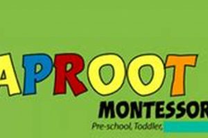 The Best Taproot Montessori Guide & Resources What Is Montessori? A Complete Guide to the Montessori Education Method The Best Taproot Montessori Guide & Resources | What Is Montessori? A Complete Guide to the Montessori Education Method