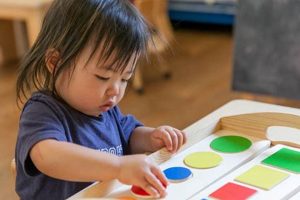 Best Toddler Montessori Activities & Guide What Is Montessori? A Complete Guide to the Montessori Education Method Best Toddler Montessori Activities & Guide | What Is Montessori? A Complete Guide to the Montessori Education Method
