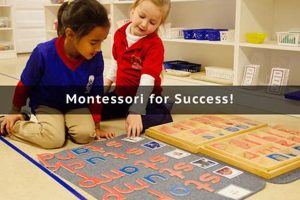 Best Montessori Academy of Carrollwood | Top School What Is Montessori? A Complete Guide to the Montessori Education Method Best Montessori Academy of Carrollwood | Top School | What Is Montessori? A Complete Guide to the Montessori Education Method