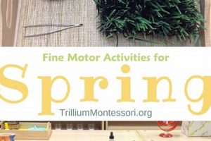 Bloom & Grow: Spring Montessori Activities What Is Montessori? A Complete Guide to the Montessori Education Method Bloom & Grow: Spring Montessori Activities | What Is Montessori? A Complete Guide to the Montessori Education Method