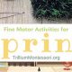 Bloom & Grow: Spring Montessori Activities | What Is Montessori? A Complete Guide to the Montessori Education Method