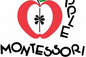 Best Montessori Schools in New Jersey (Guide) What Is Montessori? A Complete Guide to the Montessori Education Method Best Montessori Schools in New Jersey (Guide) | What Is Montessori? A Complete Guide to the Montessori Education Method