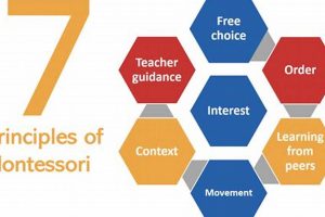 The Ultimate Guide to Montessori Learning Theory What Is Montessori? A Complete Guide to the Montessori Education Method The Ultimate Guide to Montessori Learning Theory | What Is Montessori? A Complete Guide to the Montessori Education Method