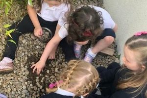 Best Bay Montessori Schools & Programs What Is Montessori? A Complete Guide to the Montessori Education Method Best Bay Montessori Schools & Programs | What Is Montessori? A Complete Guide to the Montessori Education Method