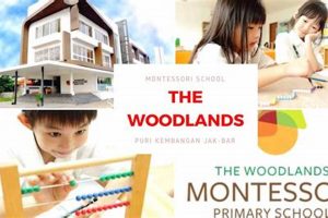Discover Woodland Montessori Education What Is Montessori? A Complete Guide to the Montessori Education Method Discover Woodland Montessori Education | What Is Montessori? A Complete Guide to the Montessori Education Method