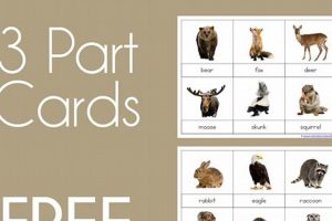 Montessori Free Printables What Is Montessori? A Complete Guide to the Montessori Education Method Montessori Free Printables | What Is Montessori? A Complete Guide to the Montessori Education Method