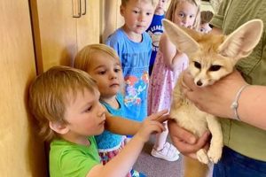 Best Eden Prairie Montessori Learning Schools What Is Montessori? A Complete Guide to the Montessori Education Method Best Eden Prairie Montessori Learning Schools | What Is Montessori? A Complete Guide to the Montessori Education Method
