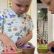 Montessori Peanut Shelling: A Practical Life Skill | What Is Montessori? A Complete Guide to the Montessori Education Method