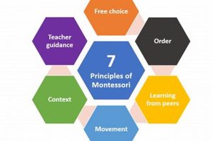 Understanding Montessori Theory & Practice What Is Montessori? A Complete Guide to the Montessori Education Method Understanding Montessori Theory & Practice | What Is Montessori? A Complete Guide to the Montessori Education Method