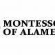 Discover Montessori of Alameda: A Guide | What Is Montessori? A Complete Guide to the Montessori Education Method