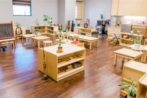 Best Montessori School: Wonderland of Carrollton What Is Montessori? A Complete Guide to the Montessori Education Method Best Montessori School: Wonderland of Carrollton | What Is Montessori? A Complete Guide to the Montessori Education Method