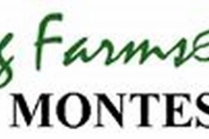 Best Montessori School: Whispering Farms Prosper What Is Montessori? A Complete Guide to the Montessori Education Method Best Montessori School: Whispering Farms Prosper | What Is Montessori? A Complete Guide to the Montessori Education Method