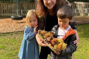 Best Montessori School: Chestnut Montessori Bellevue WA What Is Montessori? A Complete Guide to the Montessori Education Method Best Montessori School: Chestnut Montessori Bellevue WA | What Is Montessori? A Complete Guide to the Montessori Education Method
