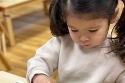 The Lifetime Montessori Journey: A Holistic Approach What Is Montessori? A Complete Guide to the Montessori Education Method The Lifetime Montessori Journey: A Holistic Approach | What Is Montessori? A Complete Guide to the Montessori Education Method