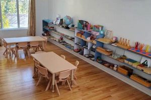 The Best Sunrise Montessori Daycare & Preschool What Is Montessori? A Complete Guide to the Montessori Education Method The Best Sunrise Montessori Daycare & Preschool | What Is Montessori? A Complete Guide to the Montessori Education Method