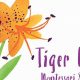 Blooming Minds: Tiger Lily Montessori Education | What Is Montessori? A Complete Guide to the Montessori Education Method