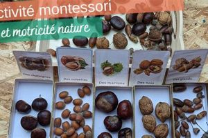 Montessori Nature What Is Montessori? A Complete Guide to the Montessori Education Method Montessori Nature | What Is Montessori? A Complete Guide to the Montessori Education Method