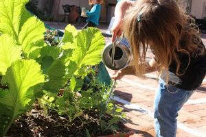 Best Montessori Preschool: Heartprints Tempe What Is Montessori? A Complete Guide to the Montessori Education Method Best Montessori Preschool: Heartprints Tempe | What Is Montessori? A Complete Guide to the Montessori Education Method