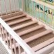 Best Montessori Twin Beds with Rails for Toddlers | What Is Montessori? A Complete Guide to the Montessori Education Method