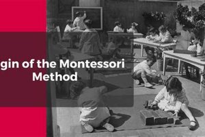 Discover the True Origin of Montessori Education What Is Montessori? A Complete Guide to the Montessori Education Method Discover the True Origin of Montessori Education | What Is Montessori? A Complete Guide to the Montessori Education Method